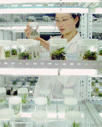 勤奋调动“两个积极性”的轨制